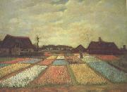 Vincent Van Gogh Bulb Fields (nn04) oil painting on canvas